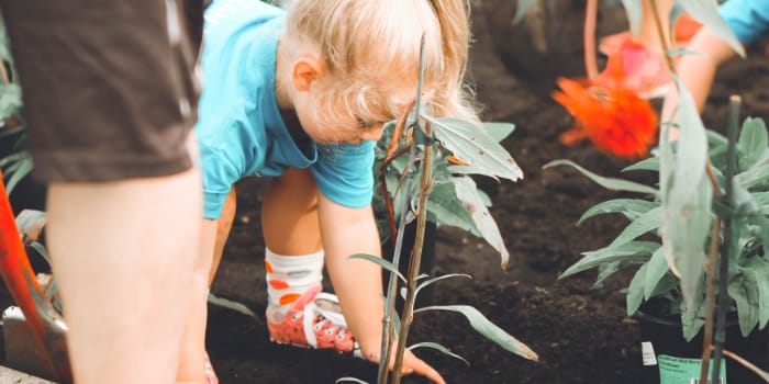 Child gardening