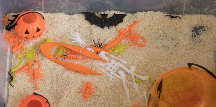 Halloween sensory bin for toddlers